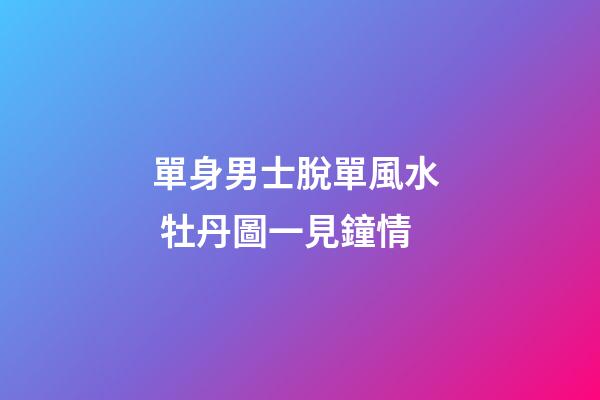 單身男士脫單風水  牡丹圖一見鐘情